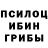Галлюциногенные грибы GOLDEN TEACHER @nsemble_