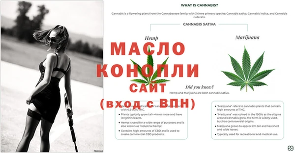 дистиллят марихуана Пересвет