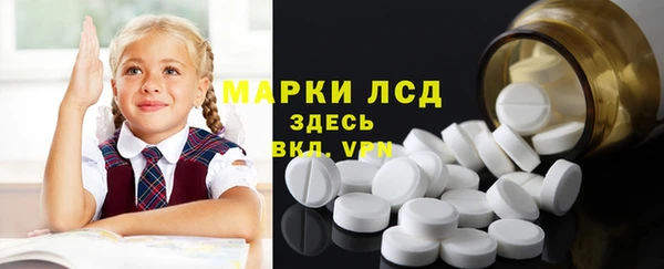 дживик Бородино