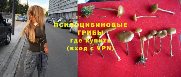ГАЛЛЮЦИНОГЕННЫЕ ГРИБЫ Переславль-Залесский
