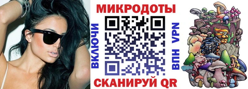 блэк спрут   Юхнов  Псилоцибиновые грибы мицелий 